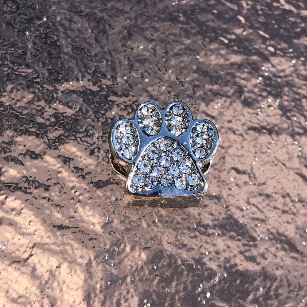 Charm dog paw cat paw silver BLOW OUT
SPECIAL - Picture 2 of 4